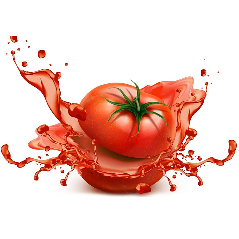 Технология термического дробления на линии производства томатного сока