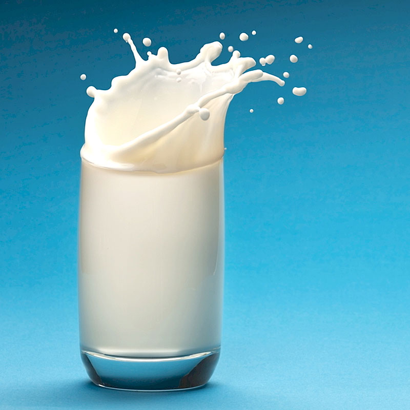 Ligne de production laitière