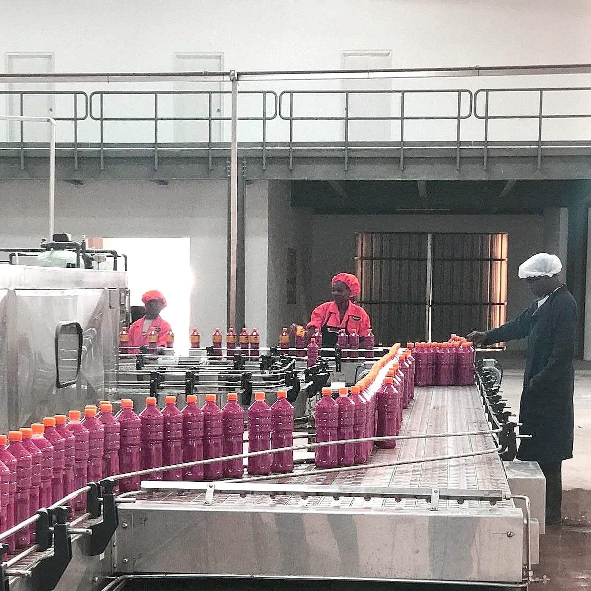 A high-tech tomato sauce processing plant built through automation and informatization