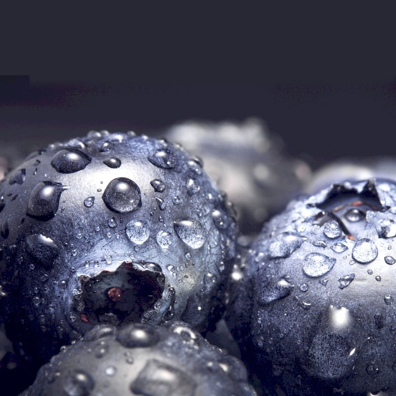 Создание завода по переработке голубики в России: линии для варенья и соков