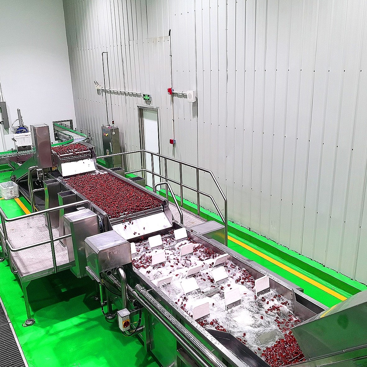 خط إنتاج صناعي كامل التشغيل لتصنيع التمر في إيران: المعدات والعمليات المخصصة لطلب أسواق الشرق الأوسط