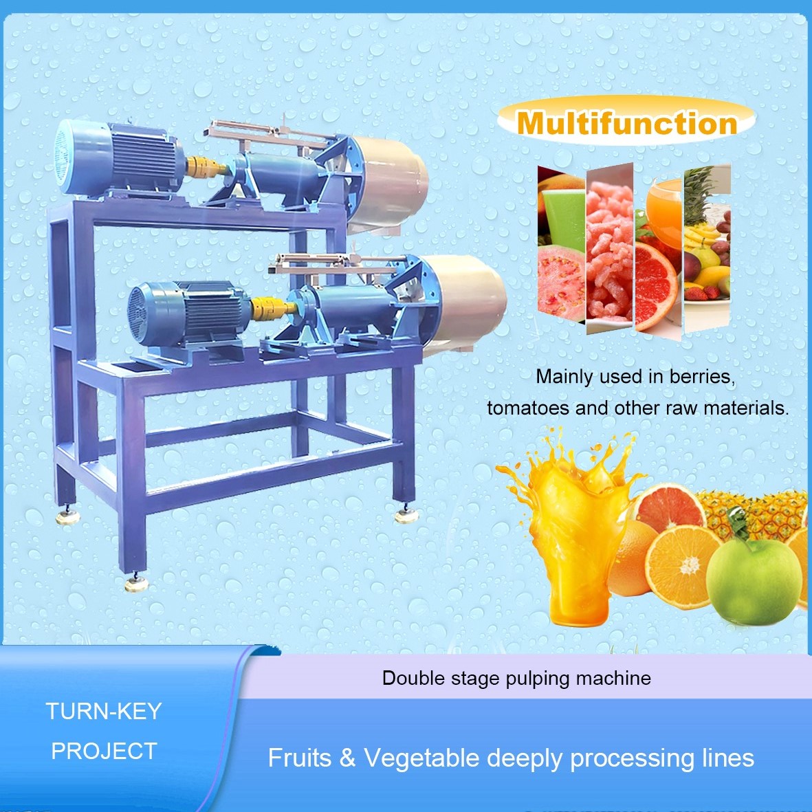 Experienced supplier of fruit puree machine,mango pulp machine