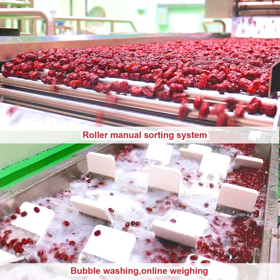 Processing Production Line Of Jujube jam and date syrup