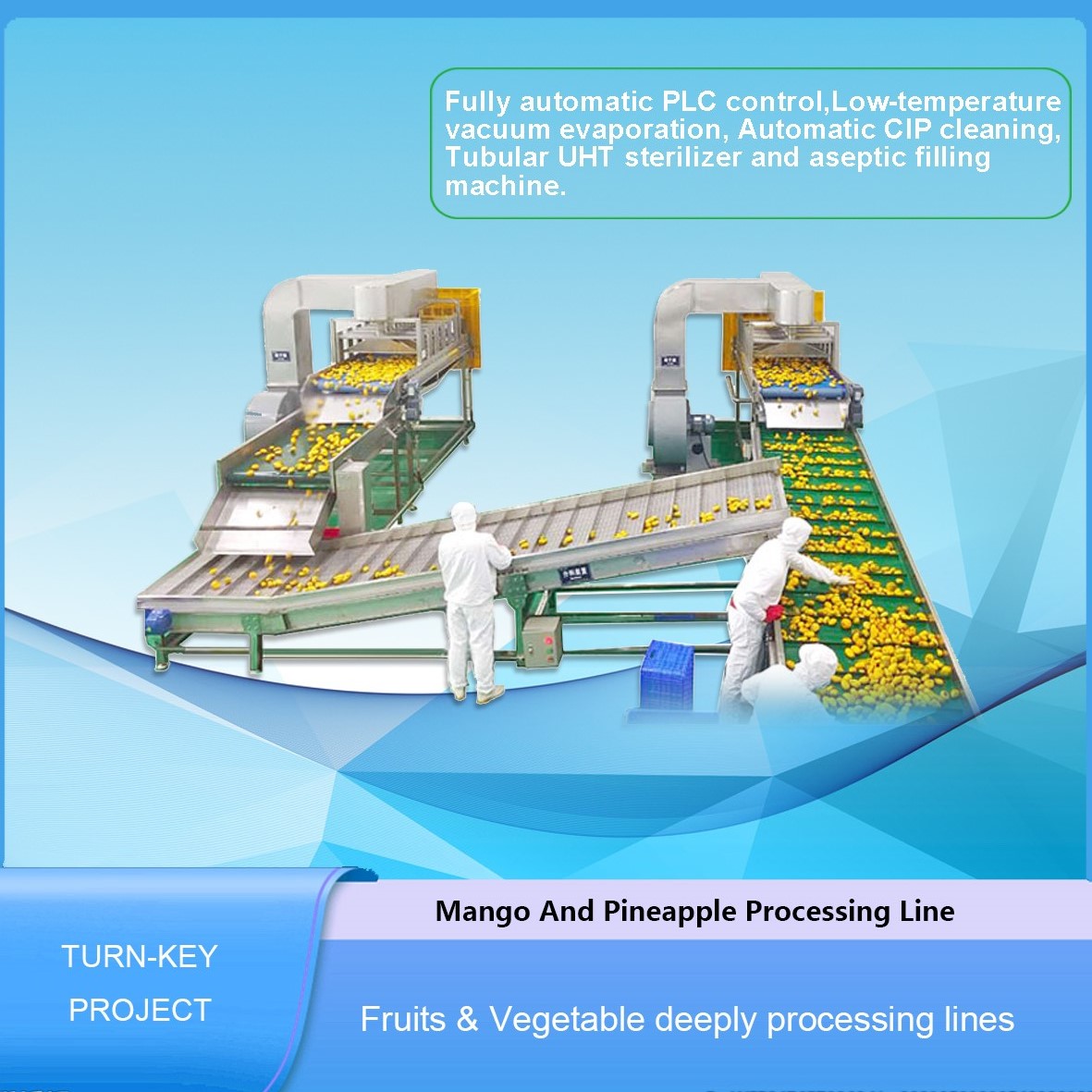 Línea de procesamiento de mango
