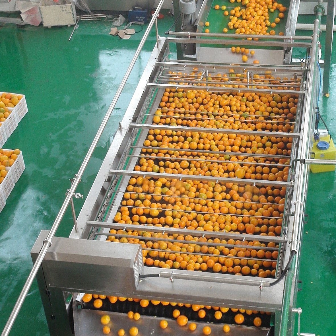 Línea de producción de jugo de naranja