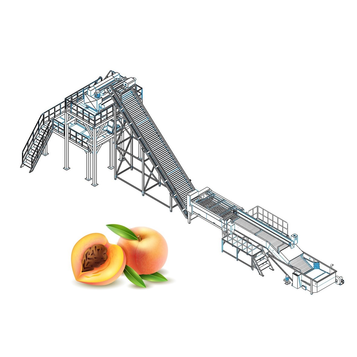 Peach, Apricot And Plum Processing Line