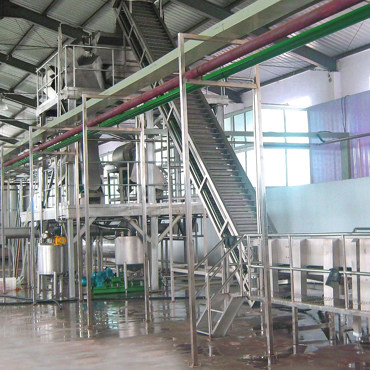 Peach, Apricot And Plum Processing Line