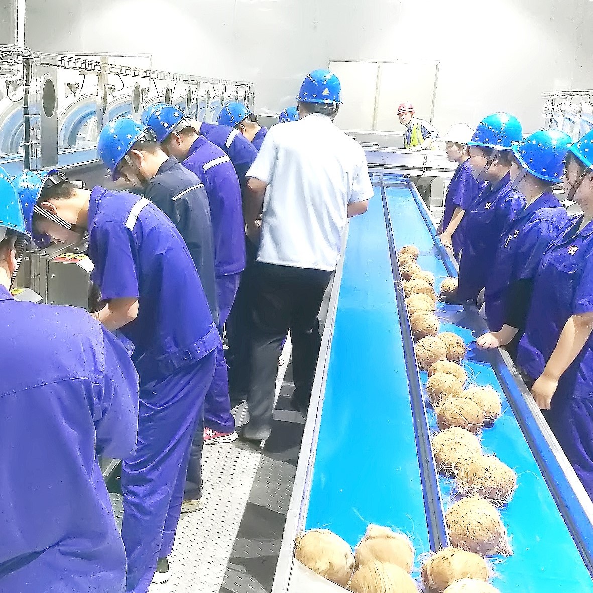 Coconut Processing Line