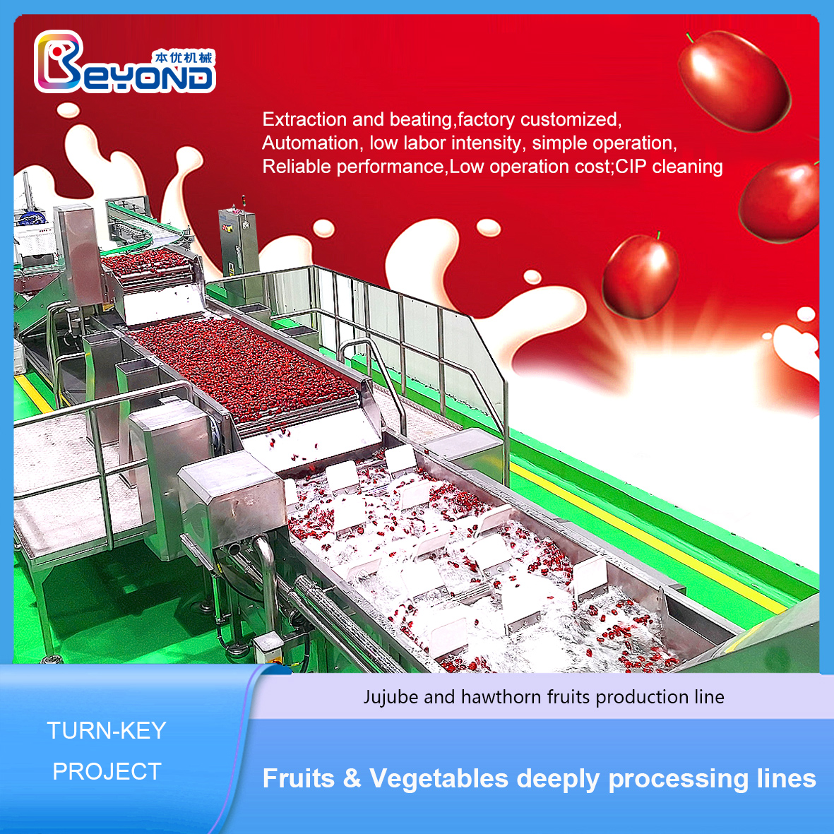 Línea de producción de procesamiento de frutas de azufaifo y espino