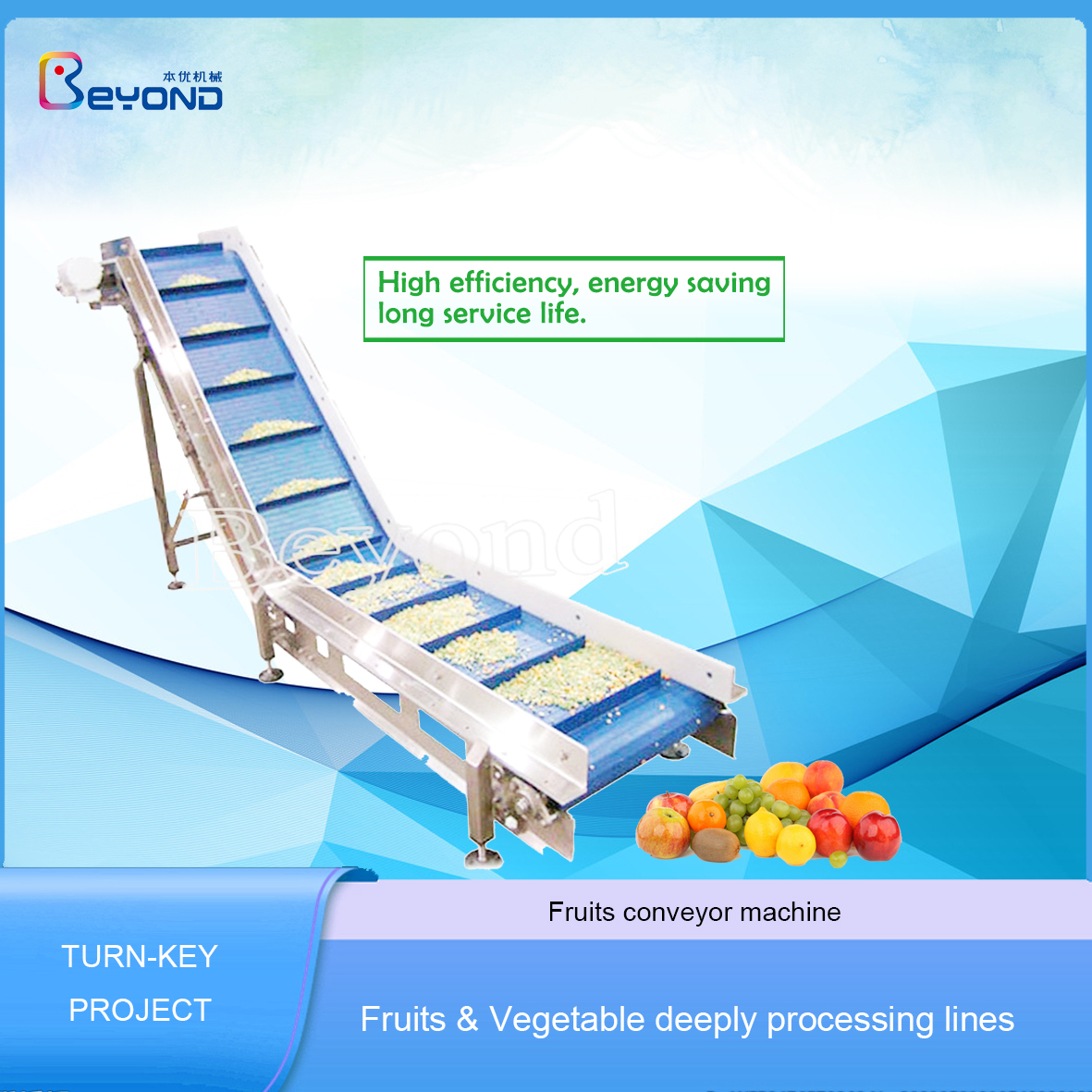 Vegetable Fruit Feeding Elevator Conveyors