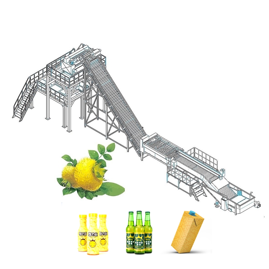 Rosa Roxburghii Processing Line