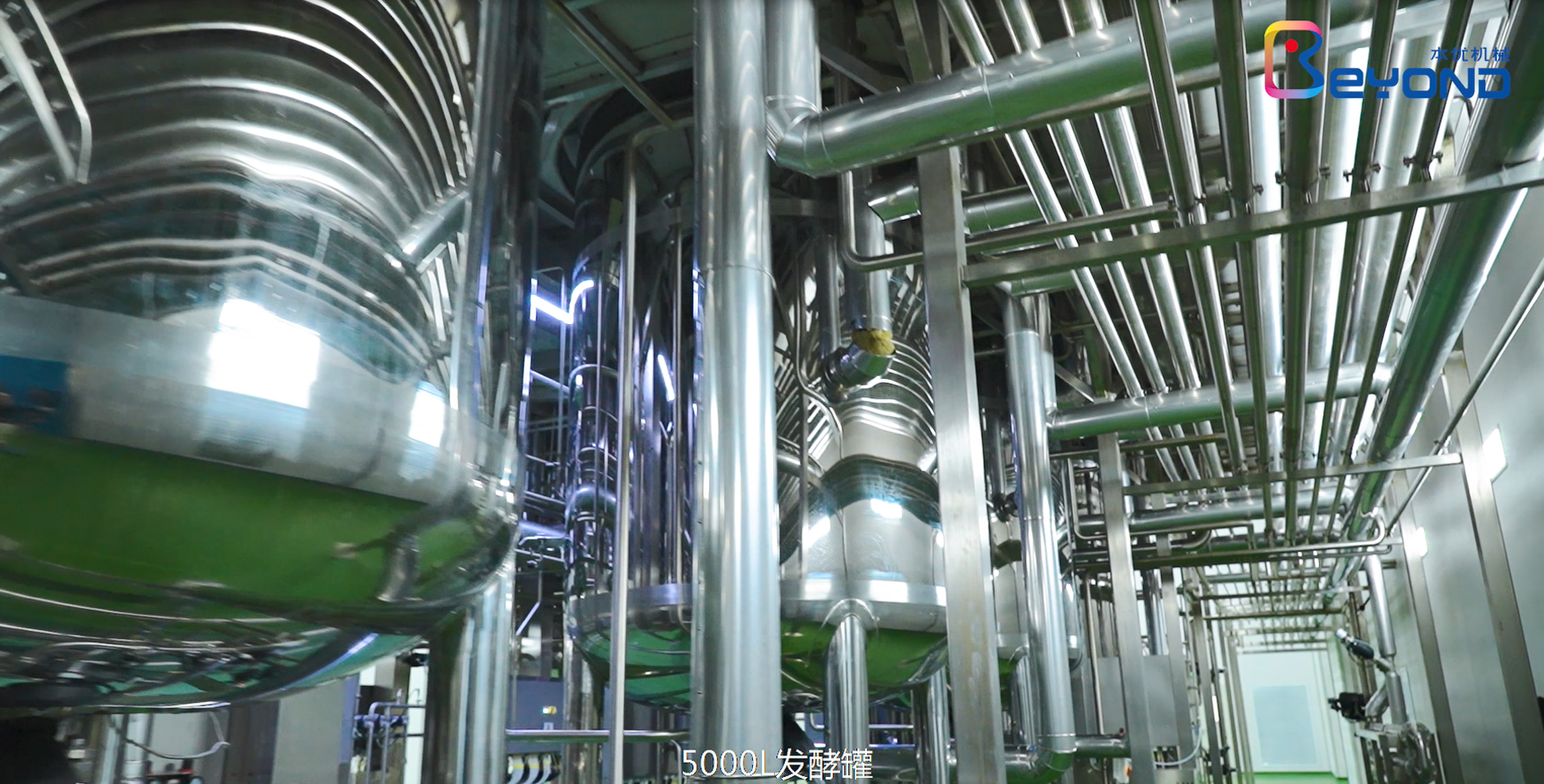Probiotic production line solution