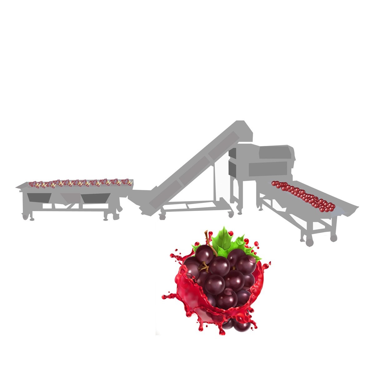 Planta de procesamiento de uva