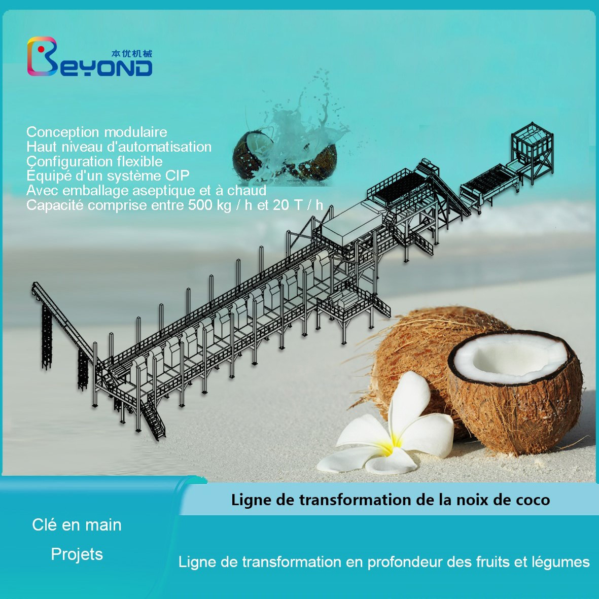 Ligne de traitement de noix de coco
