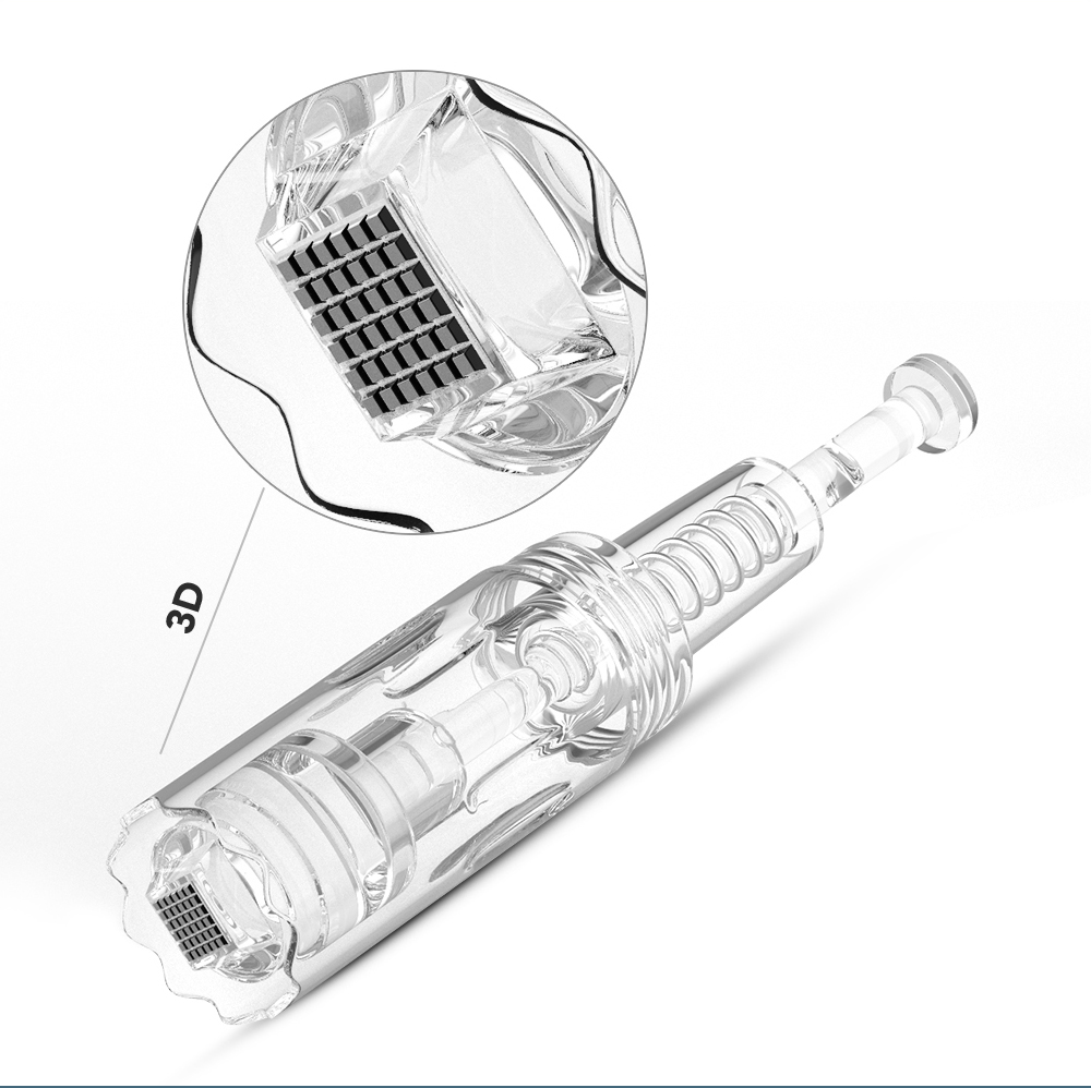 Hộp Kim Vi Điểm Vít 12 36 Kim NANO 3D 5D Cho Bút Vi Điểm Điện
