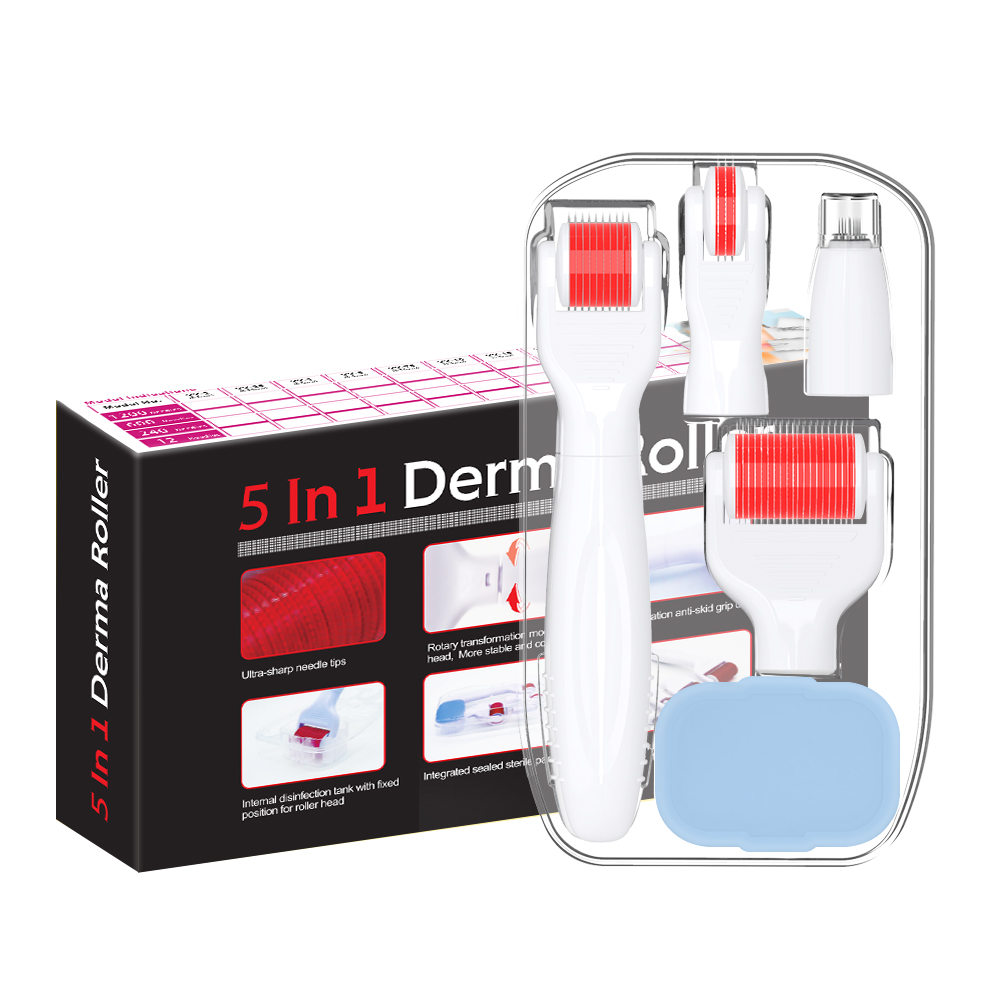 Ensemble de rouleaux derma à microneedles en titane 5 en 1 pour l'élimination des vergetures de la peau