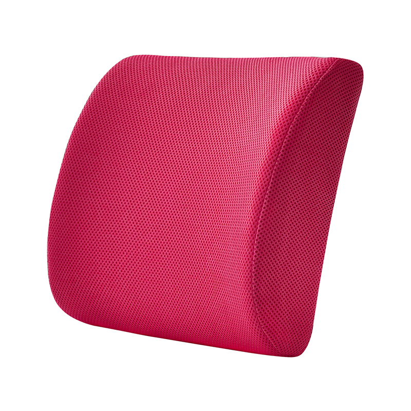 Sinowarm Memory Foam XYKao 3D Mesh Fabric Lumbar support cushion