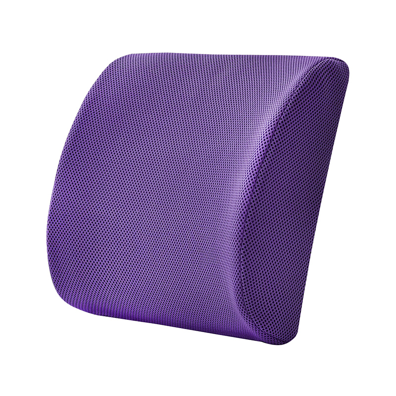 Sinowarm Memory Foam XYKao 3D Mesh Fabric Lumbar support cushion