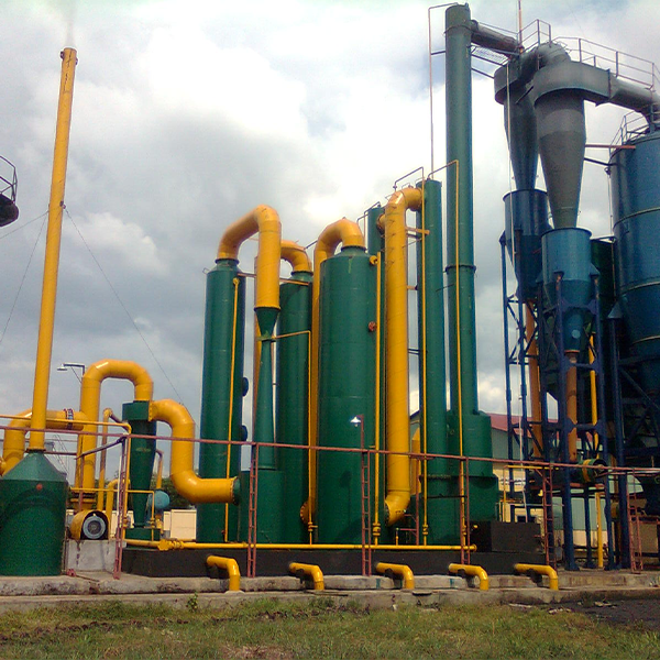 Biomass Gasification Power Plant