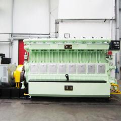 300 SERIES BIOMASS GAS GENERATOR SET