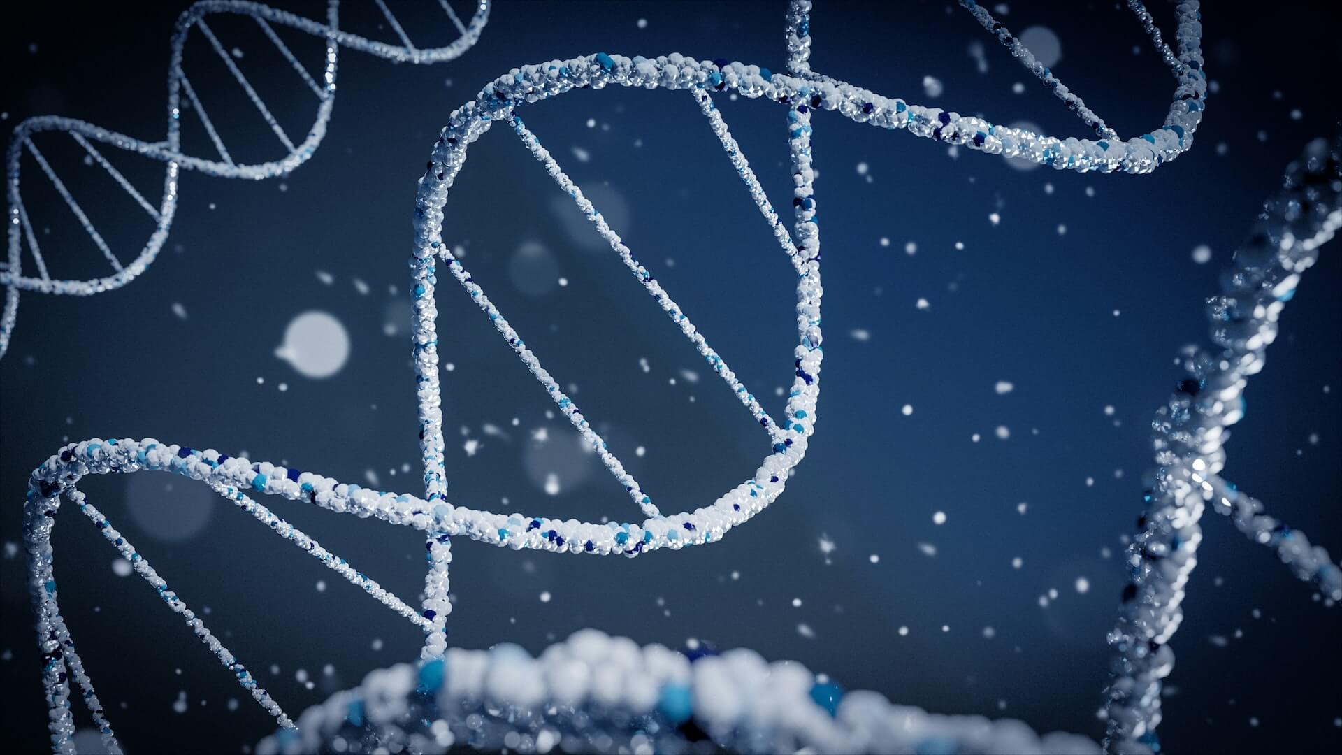 silver and blue double-stranded DNA