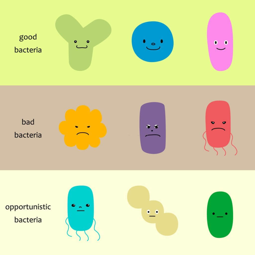 Vector illustration set of intestinal bacteria (good bacteria, bad bacteria, opportunistic bacteria)