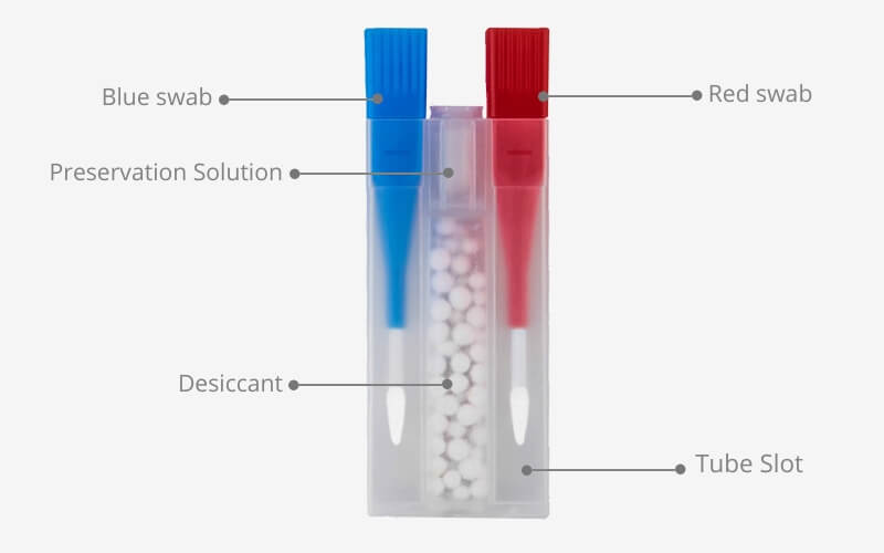 What Mantacc 97000D Dual-swab Forensic Sample Collection Kit Consists of