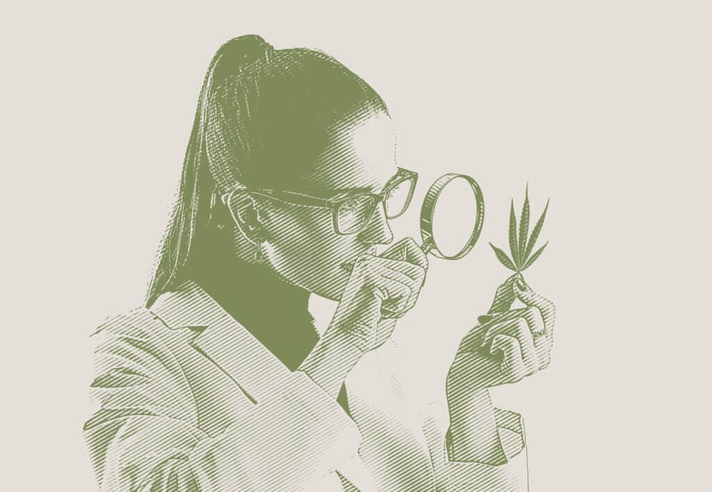 Vector engraving of a female lab technician analyzing cannabis leaf on white background
