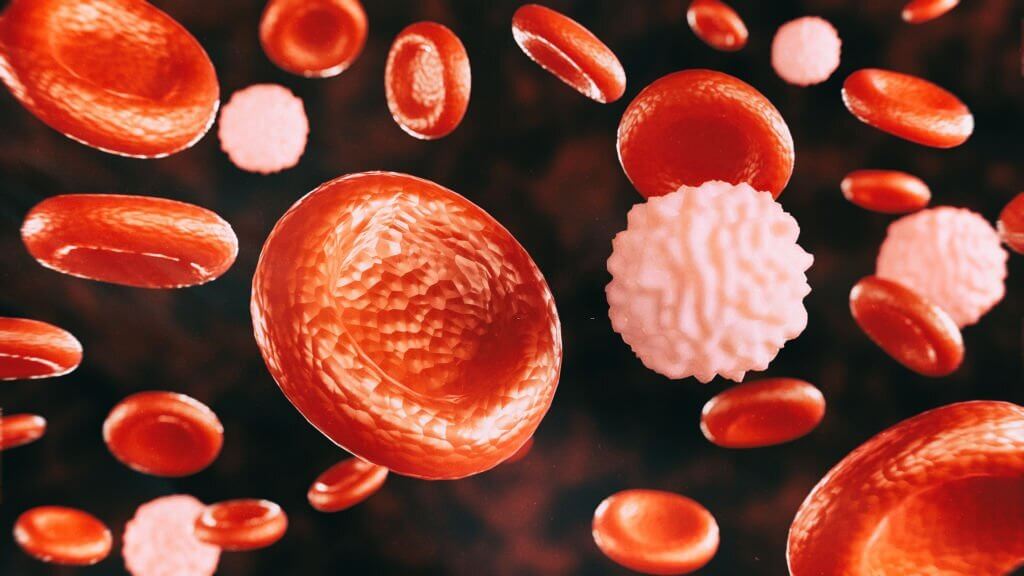 Red blood cells and white blood cells on a dark background