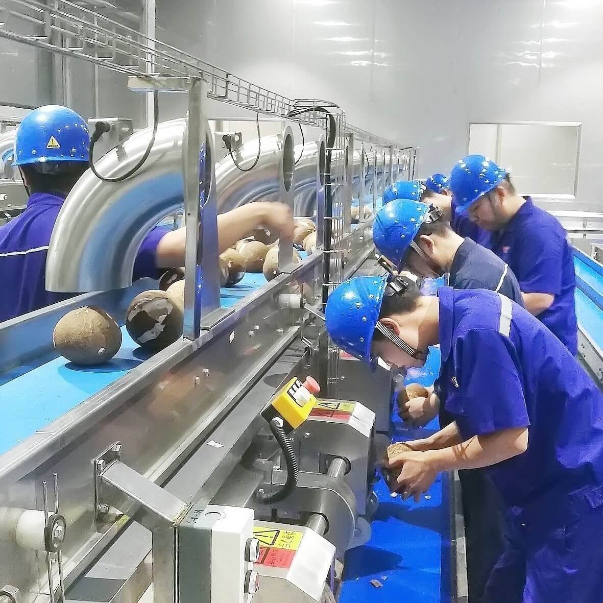 Coconut processing line
