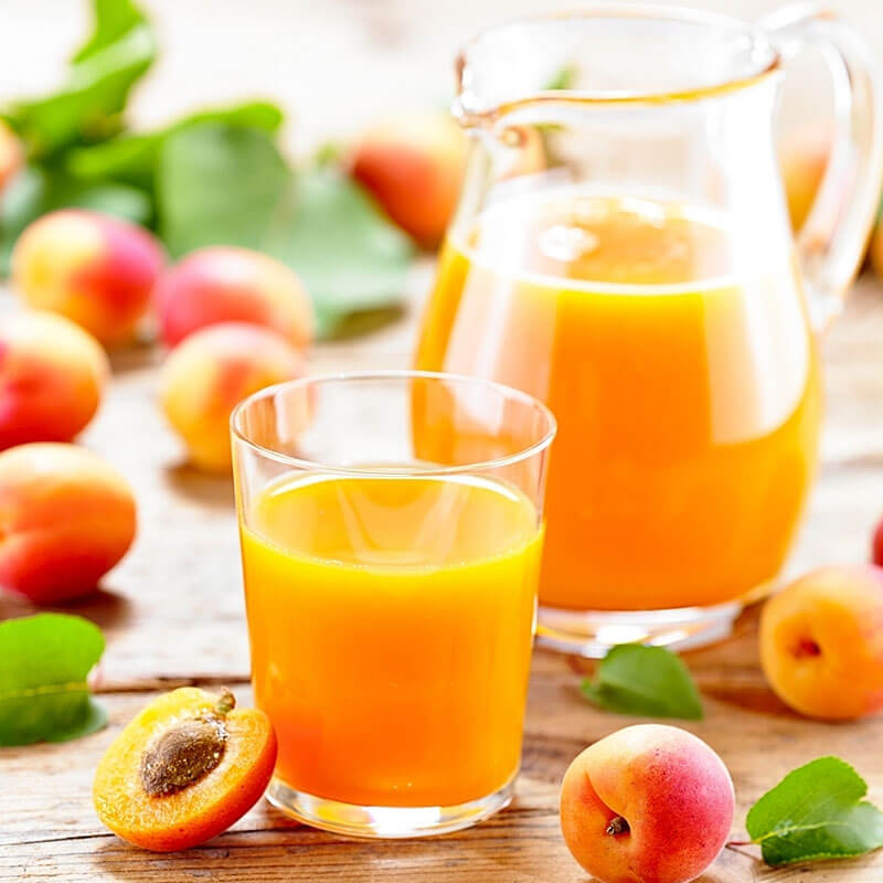 apricot juice processing plant