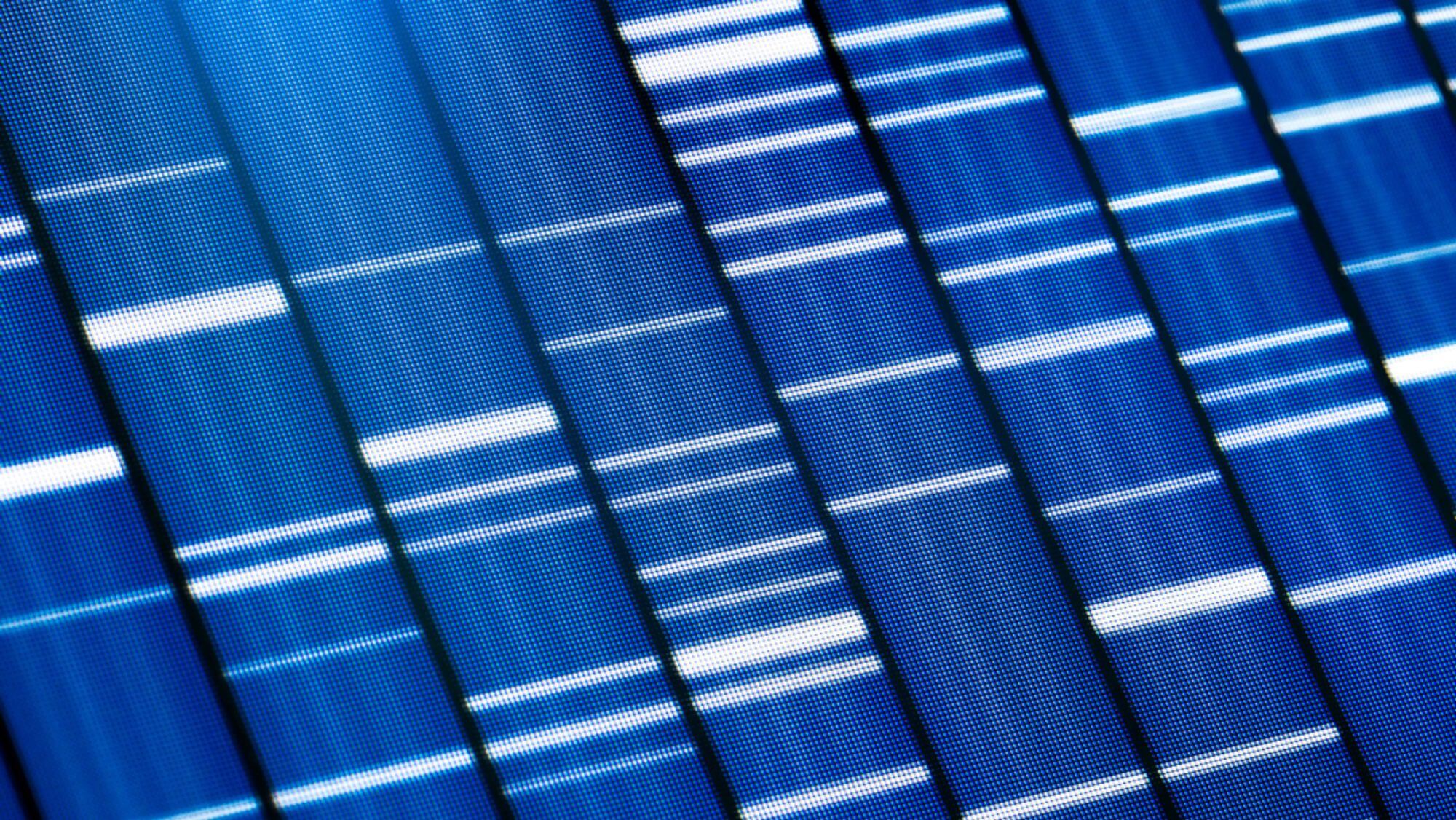 Display of gene concept blue color