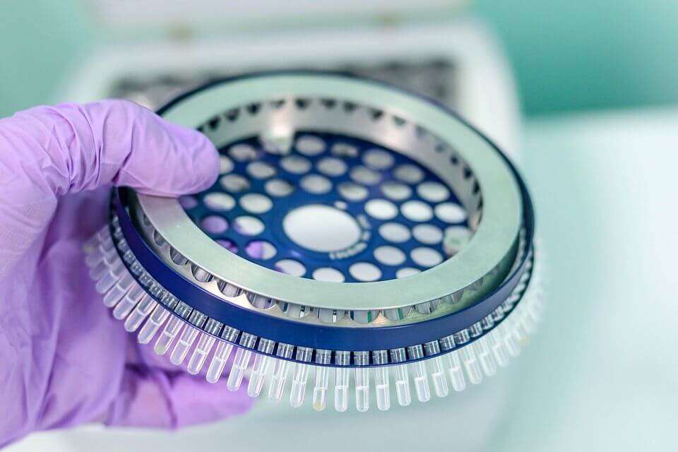 Several PCR tubes in a round plate in a hand with pink glove