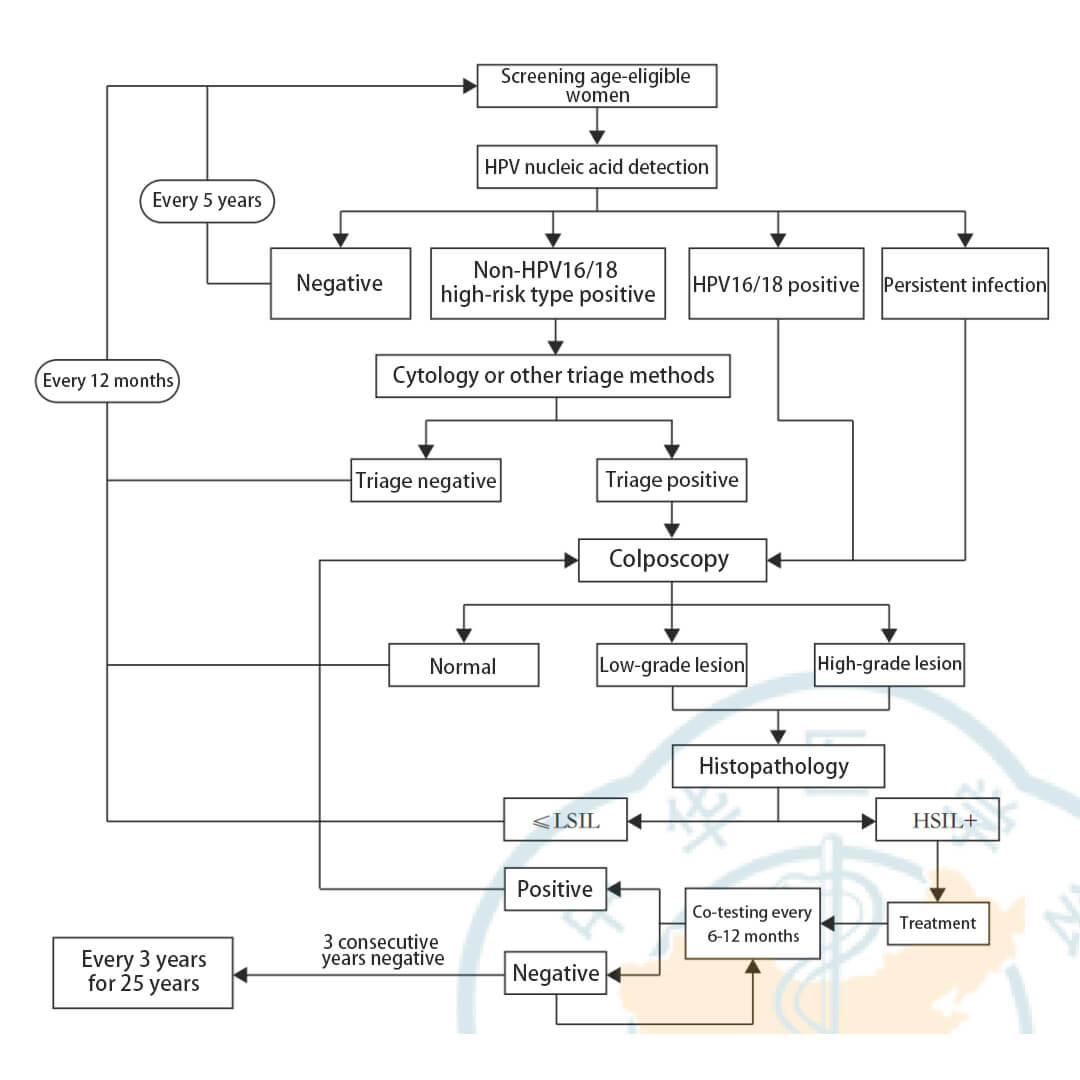 HPV detection flow chart in new consensus