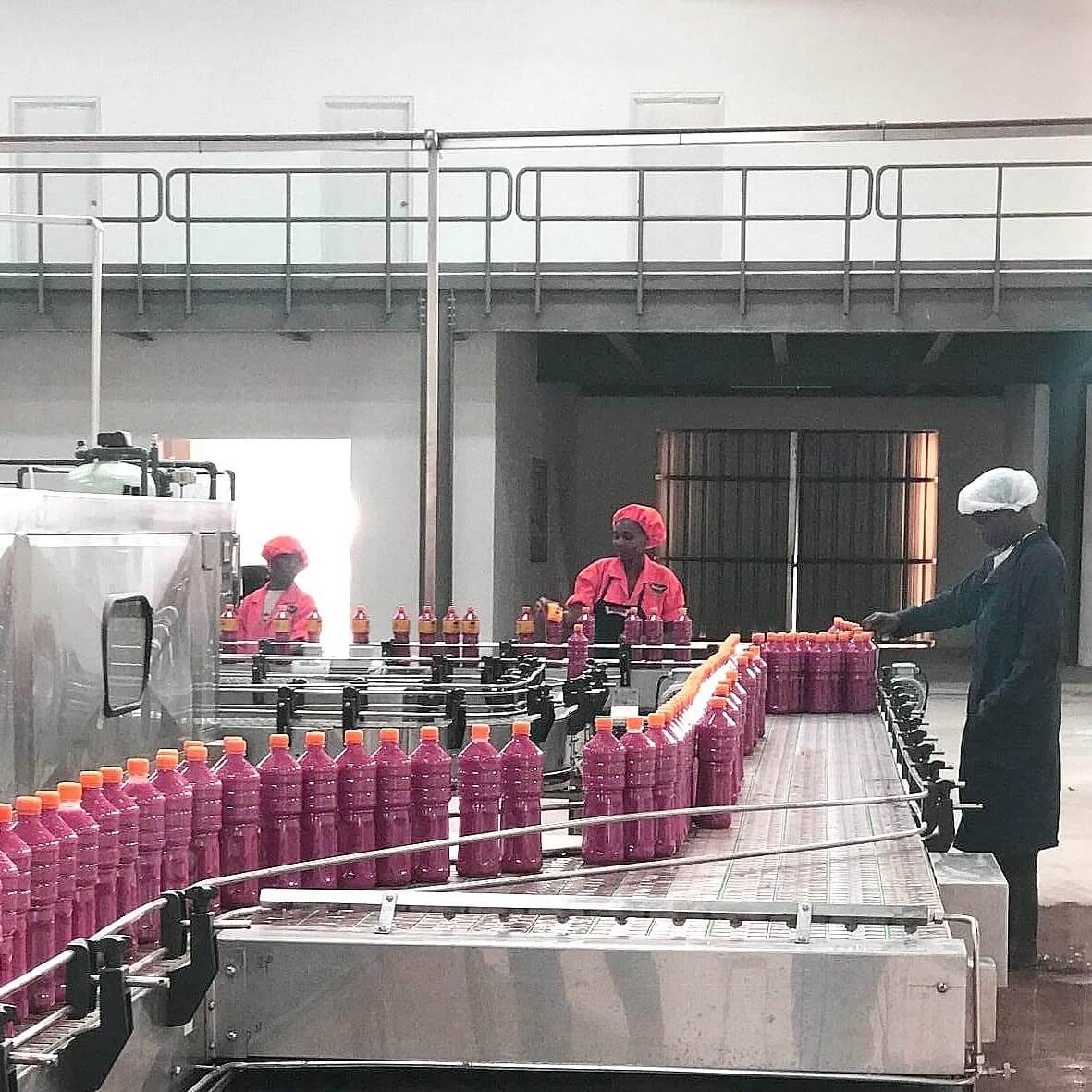 Tomato concentrate Production Processing Line