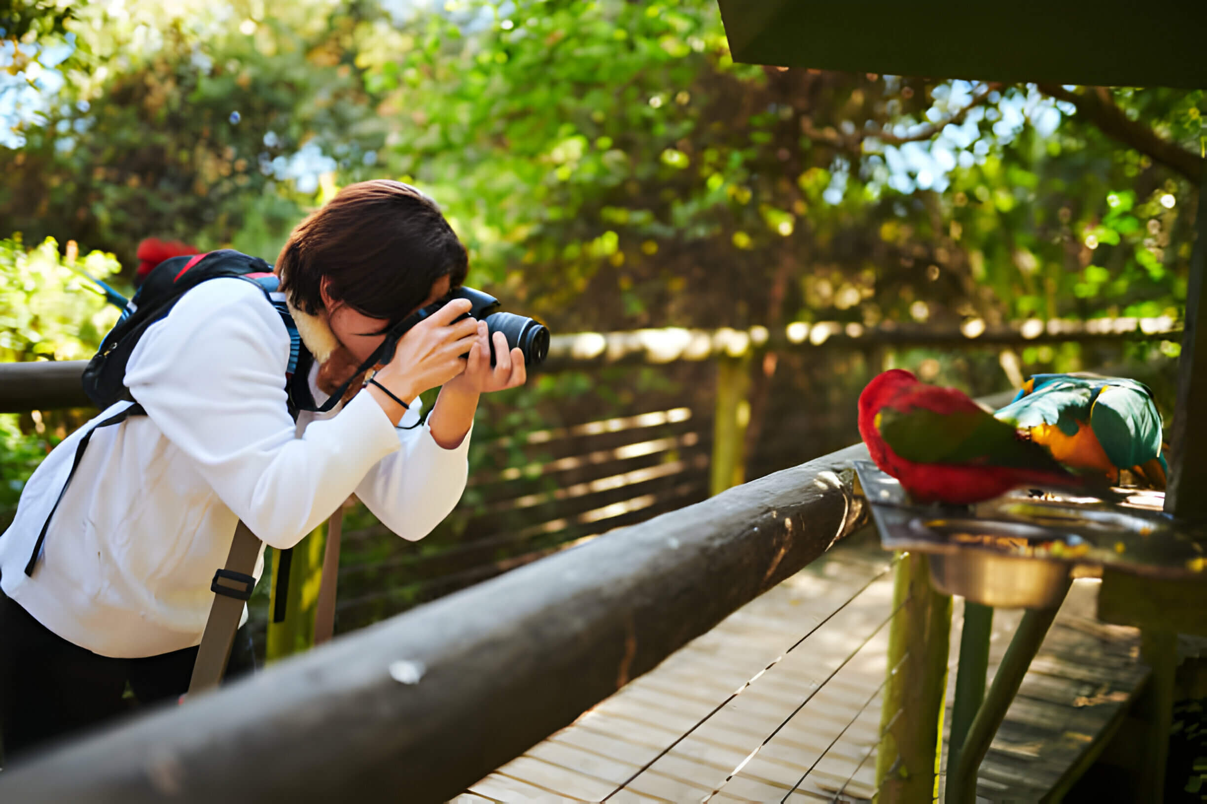 Cropped shot of an attractive young female birdwatcher snapping pictures while exploring outdoors