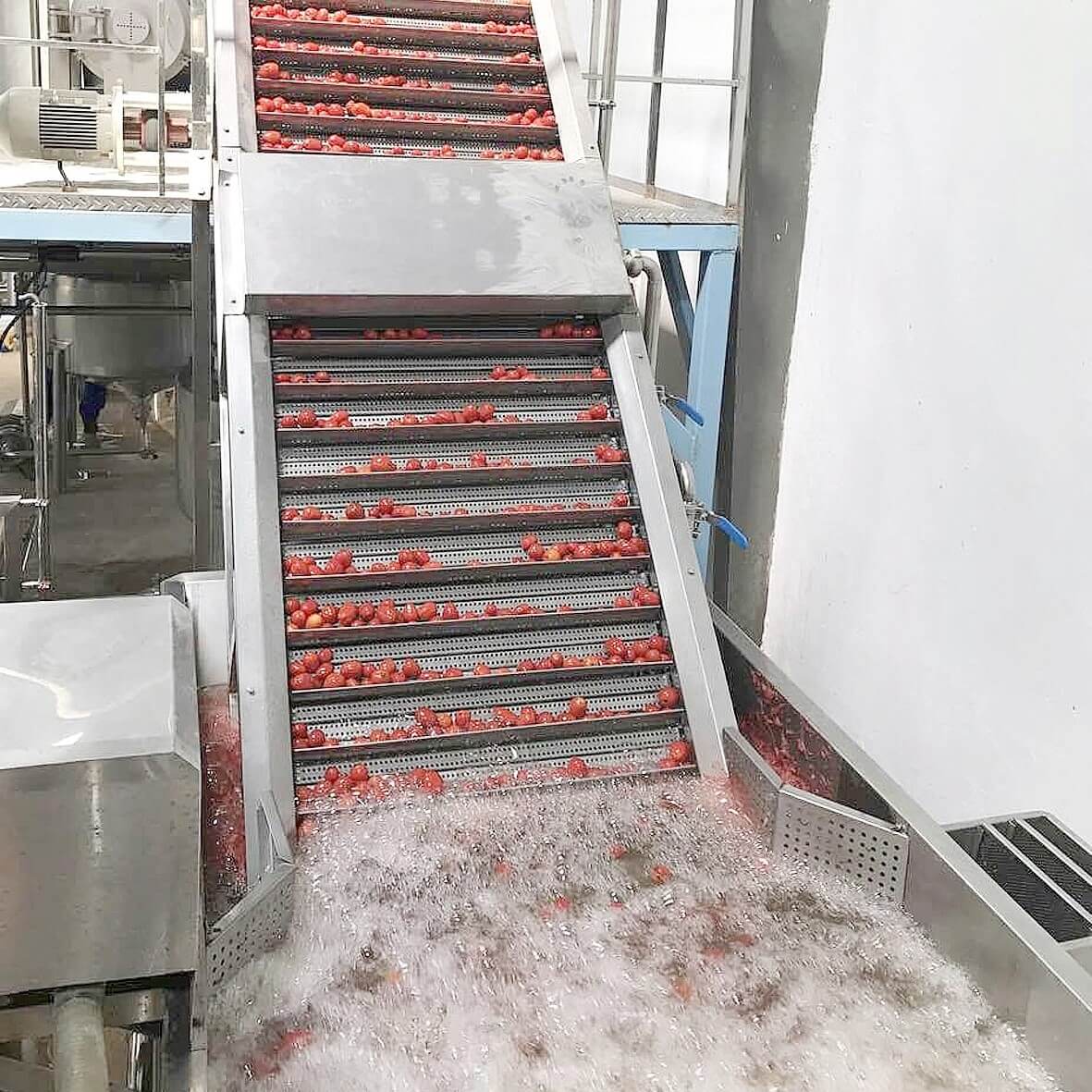 Tomato Paste Processing Plant