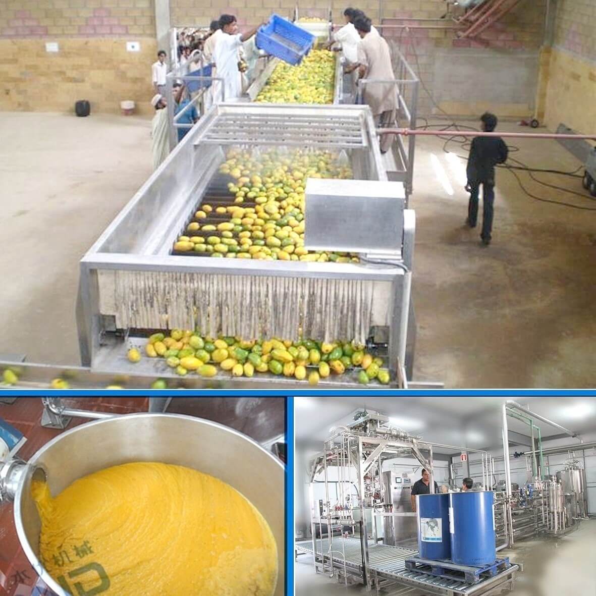 Ligne de production de jus de mangue Fournisseurs