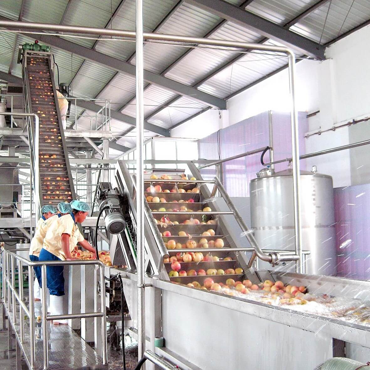 Ligne de traitement des fruits Ligne de traitement des fruits