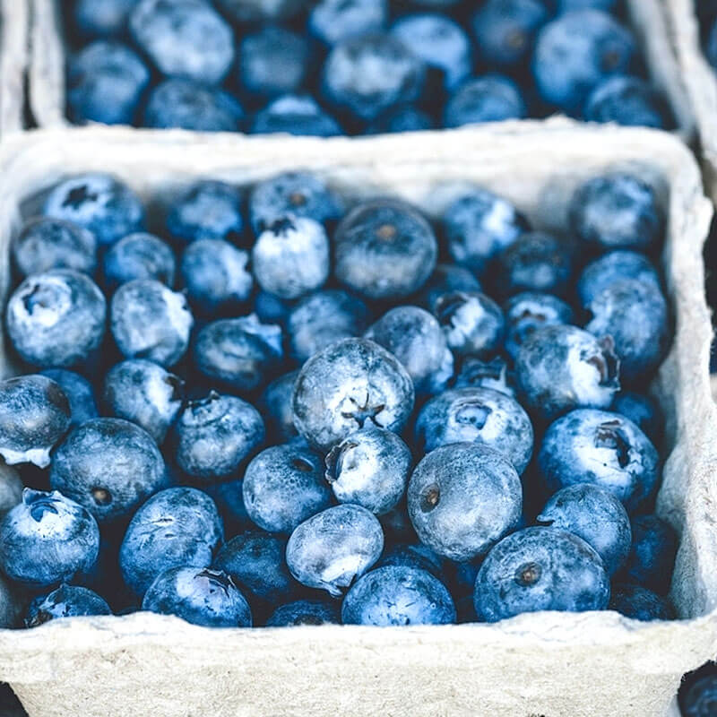 Линия по производству черничного сока Линия по производству черничного сока
