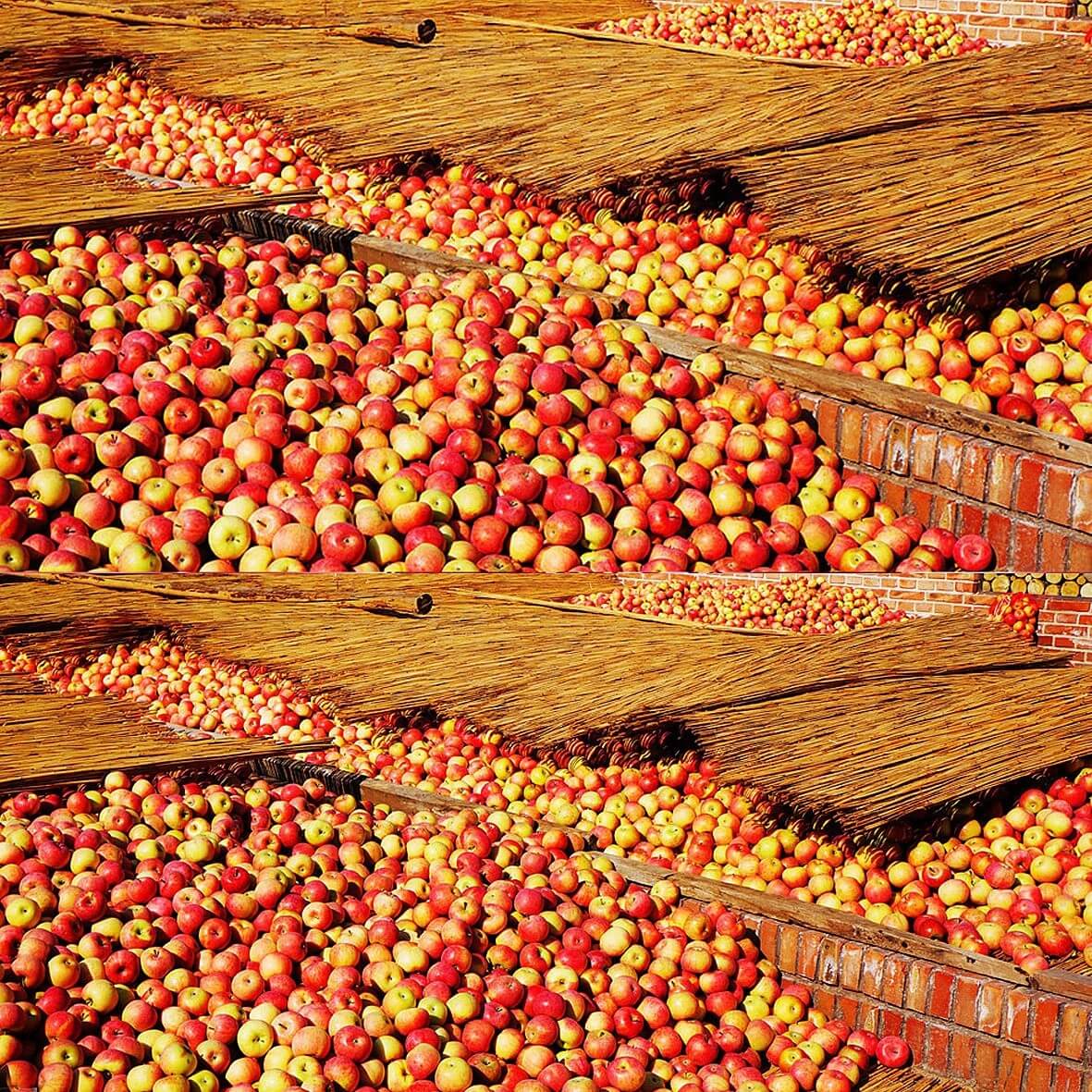Ligne de production de jus de pomme Ligne de production de jus de pomme