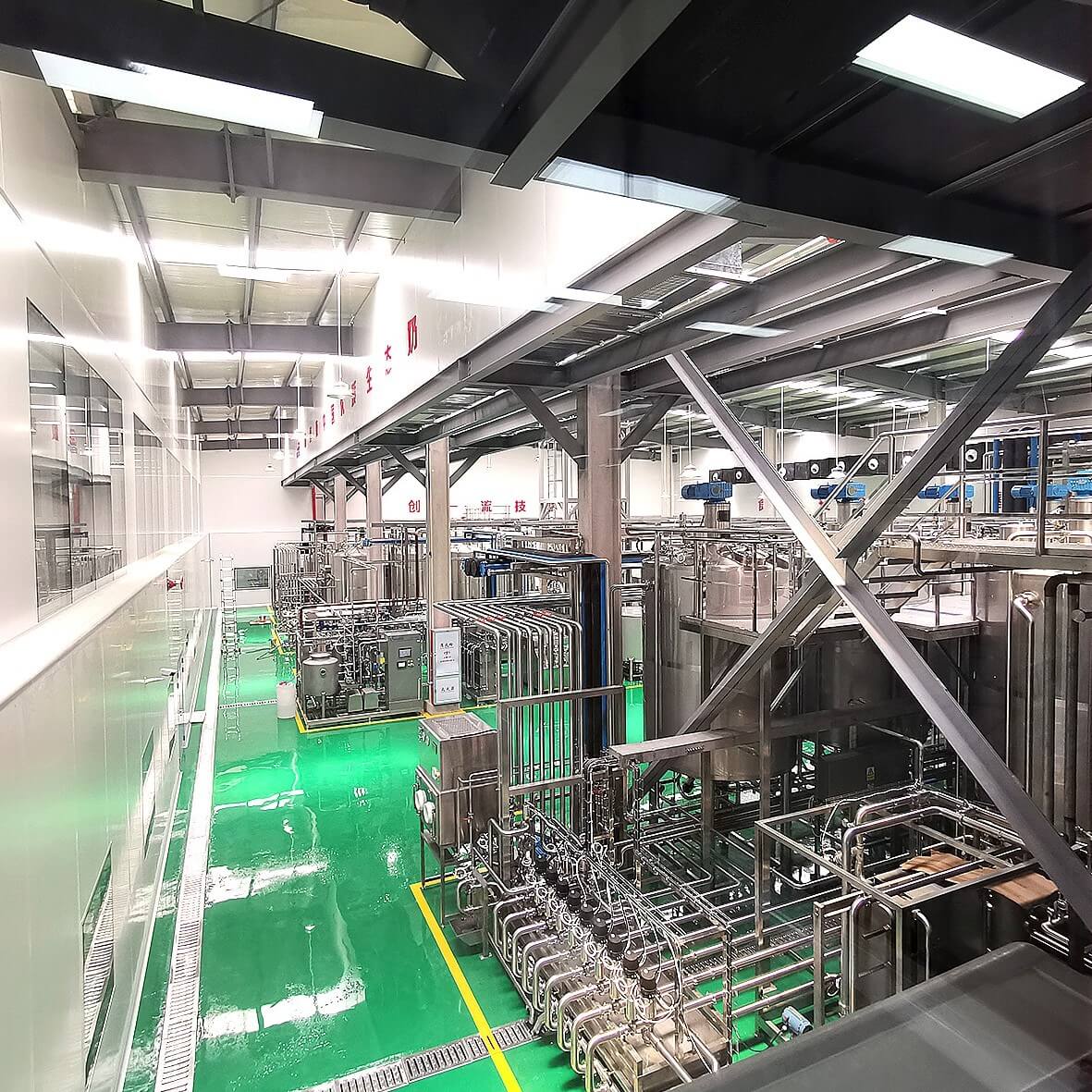 خط حليب الإبل