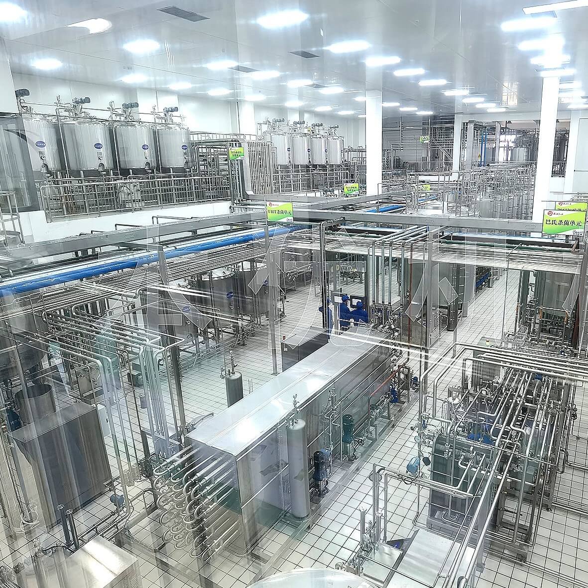 завод по переработке молока