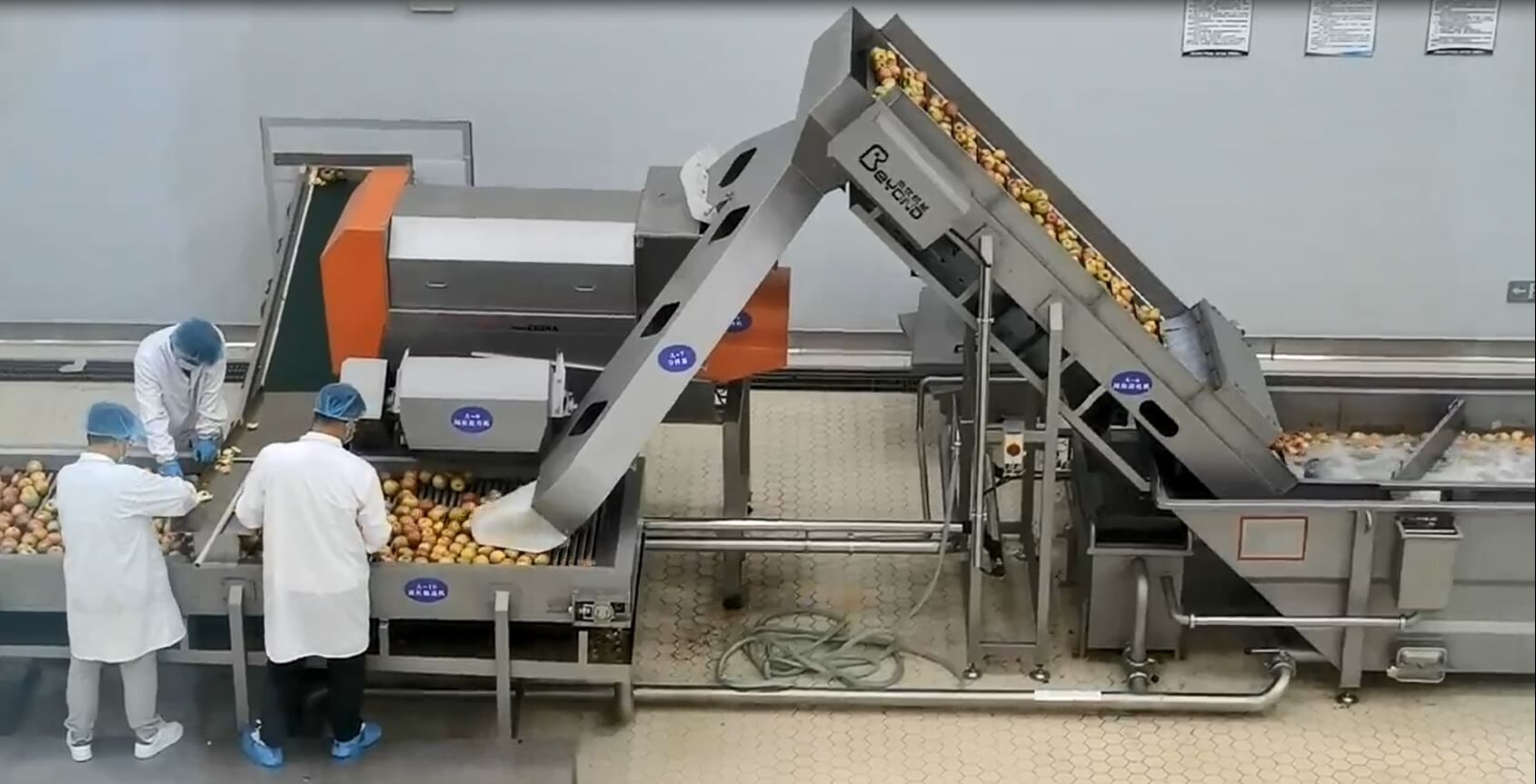 Línea de producción de jugo de manzana