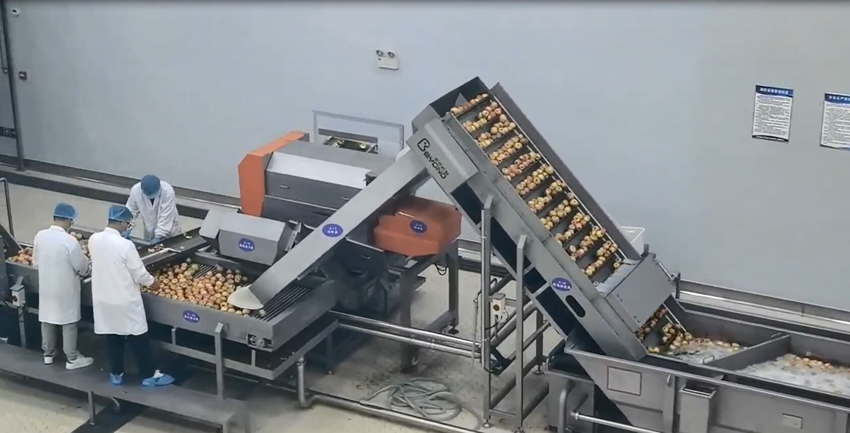 Línea de producción de jugo de manzana