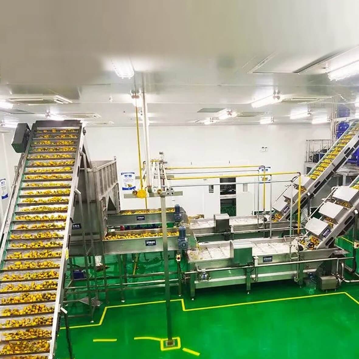 Mango processing plant Mango processing plant