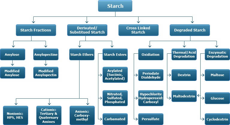 Modified starch process technology