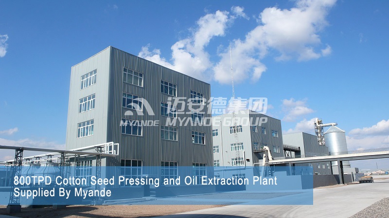 800TPD Cotton Seed Pressing and Oil Extraction Plant Supplied By Myande