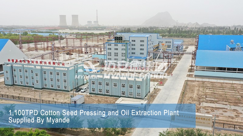 1,100TPD Cotton Seed Pressing and Oil Extraction Plant Supplied By Myande