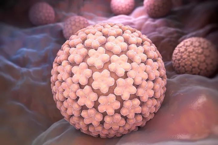 HPV virus will easily lead to cervical cancer